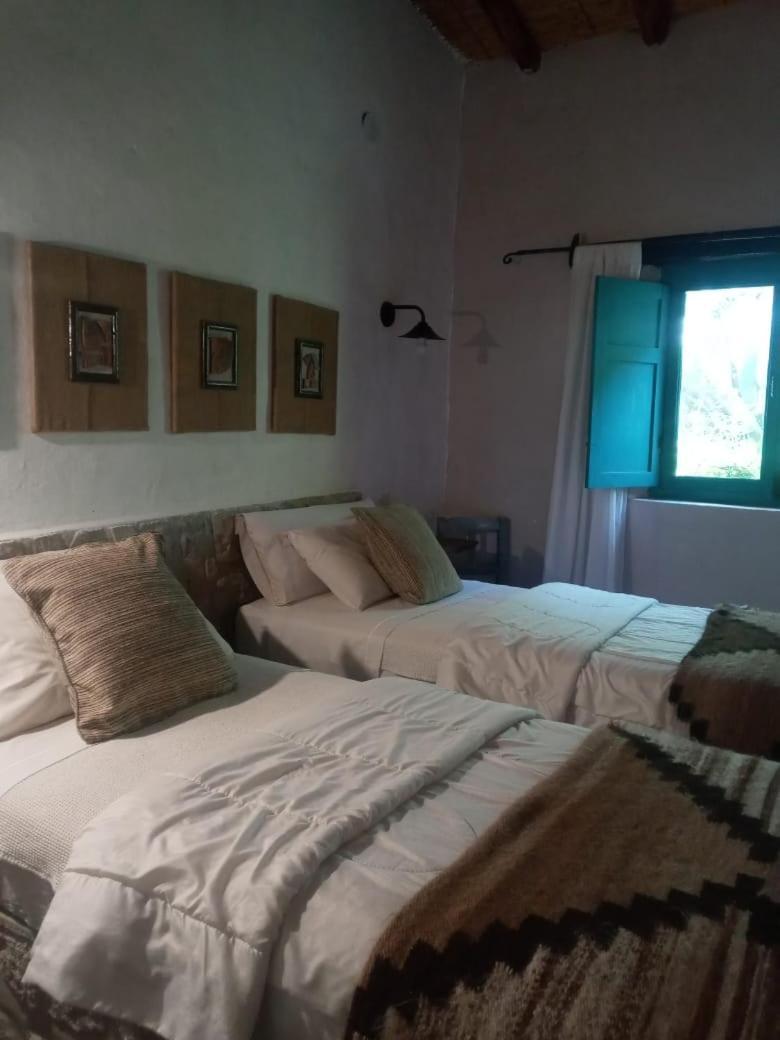 La Paya Cachí